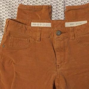 Pilcro & the Letterpress goldenrod corduroys Sz 27